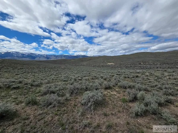 $81,000 | 2-3 Gold Valley Drive, Salmon, ID 83467