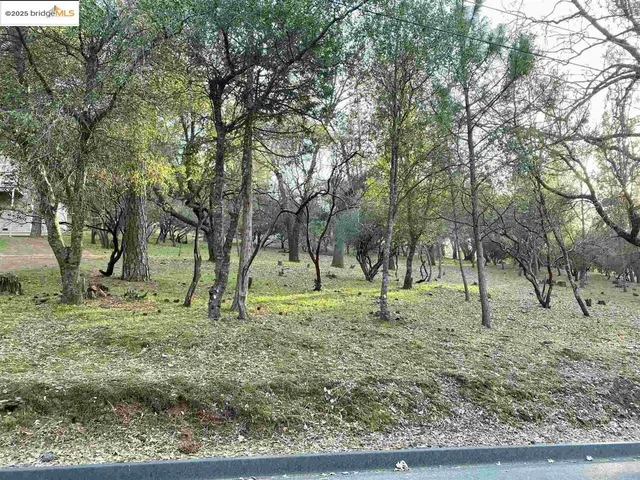 a view of outdoor space with trees