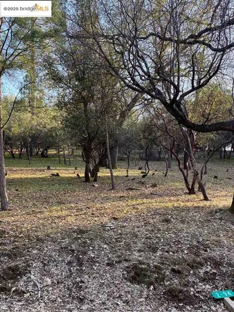 a backyard of a house with trees and houses