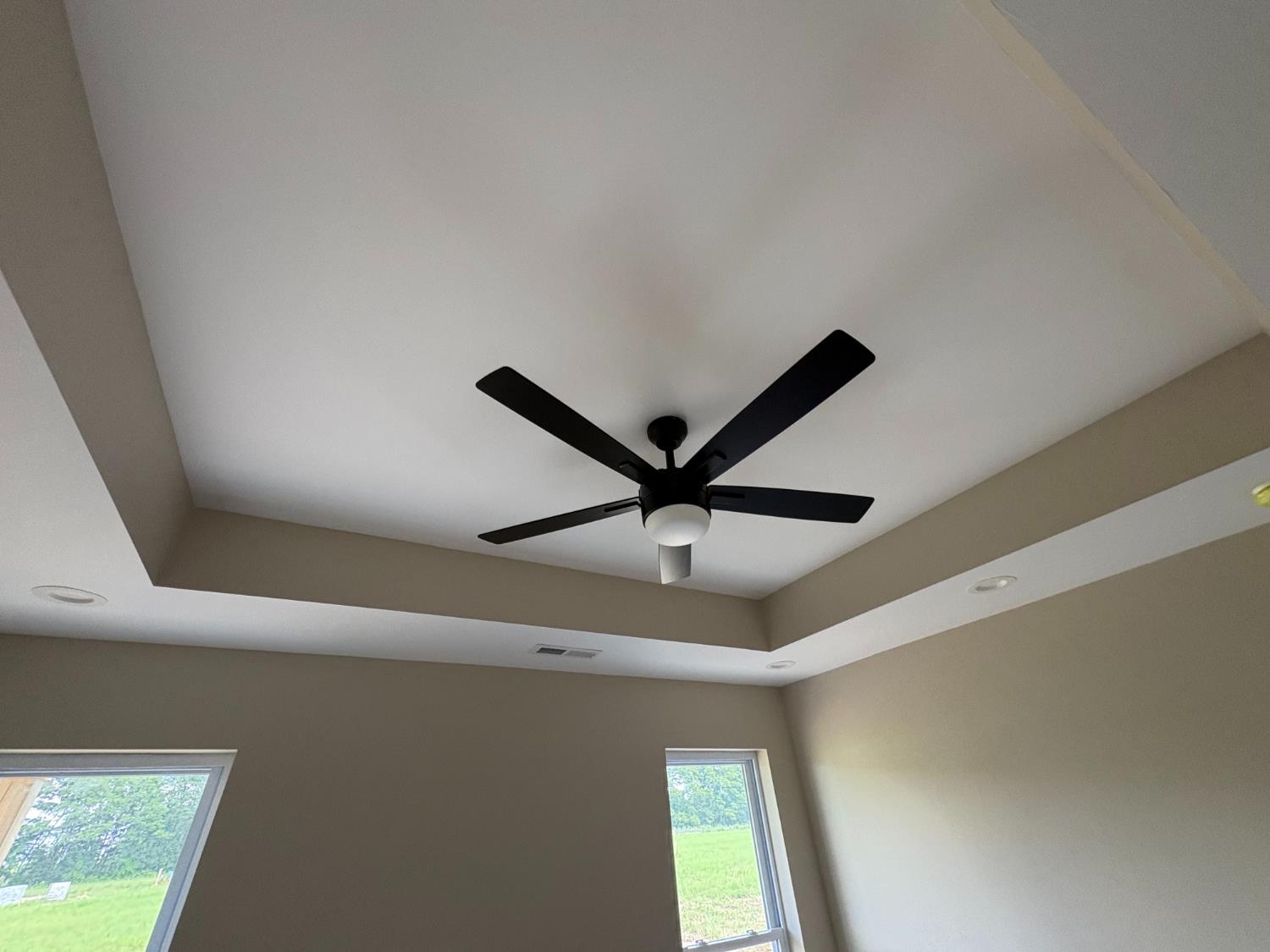 12165 Willow Road Bennington, IN 47011 - Photo 7 of 11 Tray ceiling in primary bedroom