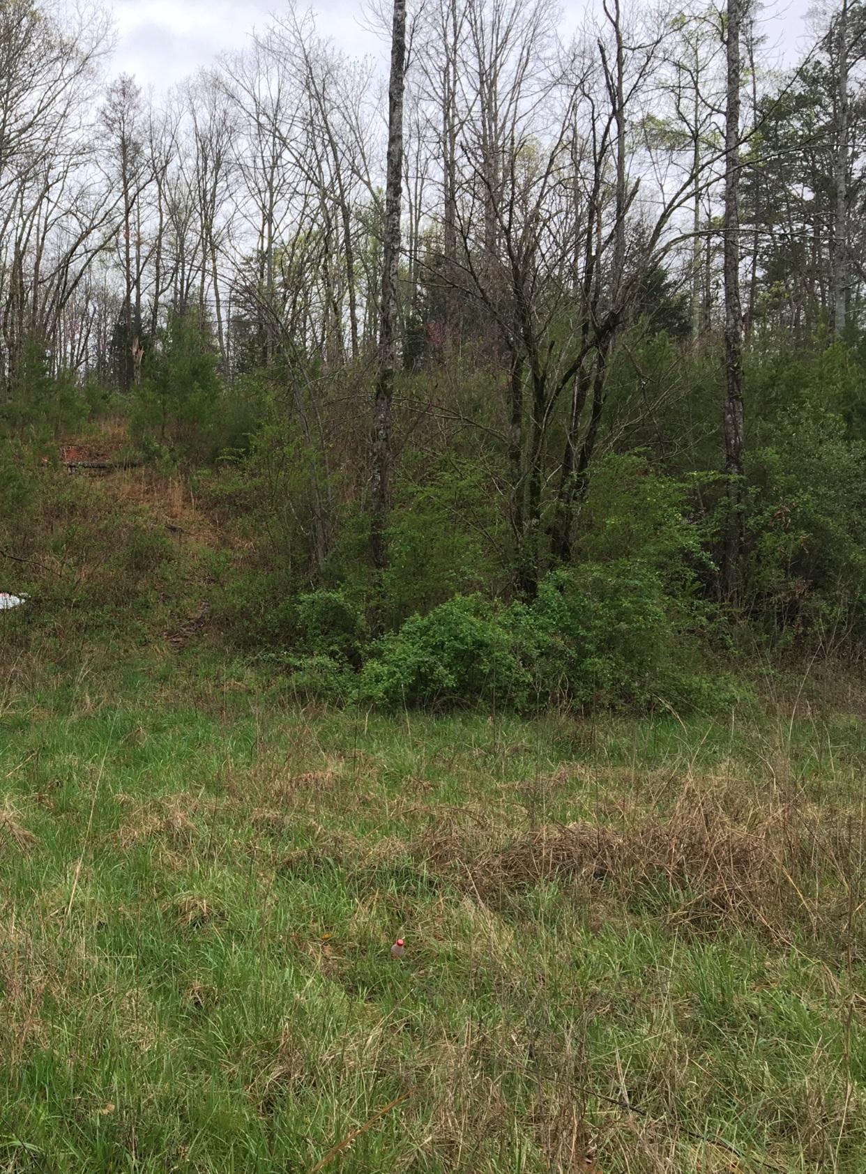 79.25 Co Road Athens, TN 37303 - Photo 1 of 1 IMG_3269