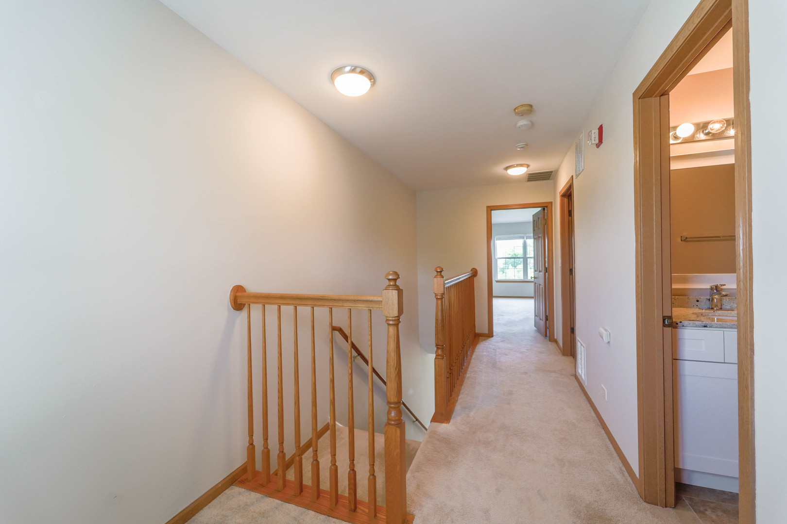 934 Genesee Drive Naperville, IL 60563 - Photo 11 of 30