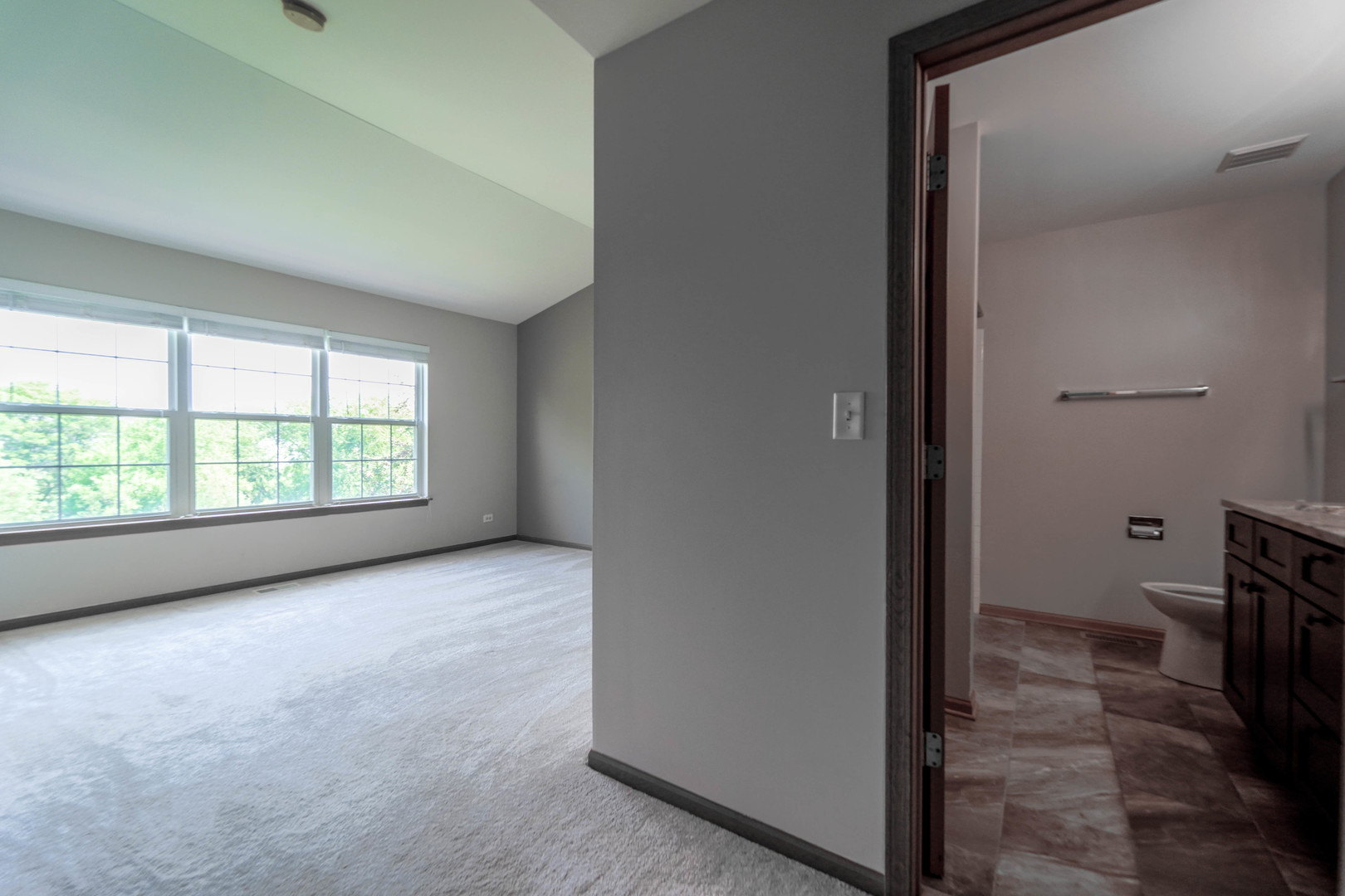 934 Genesee Drive Naperville, IL 60563 - Photo 12 of 30
