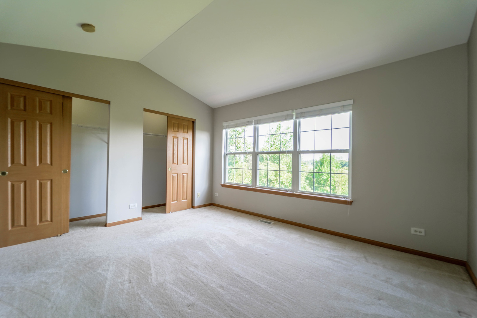 934 Genesee Drive Naperville, IL 60563 - Photo 13 of 30
