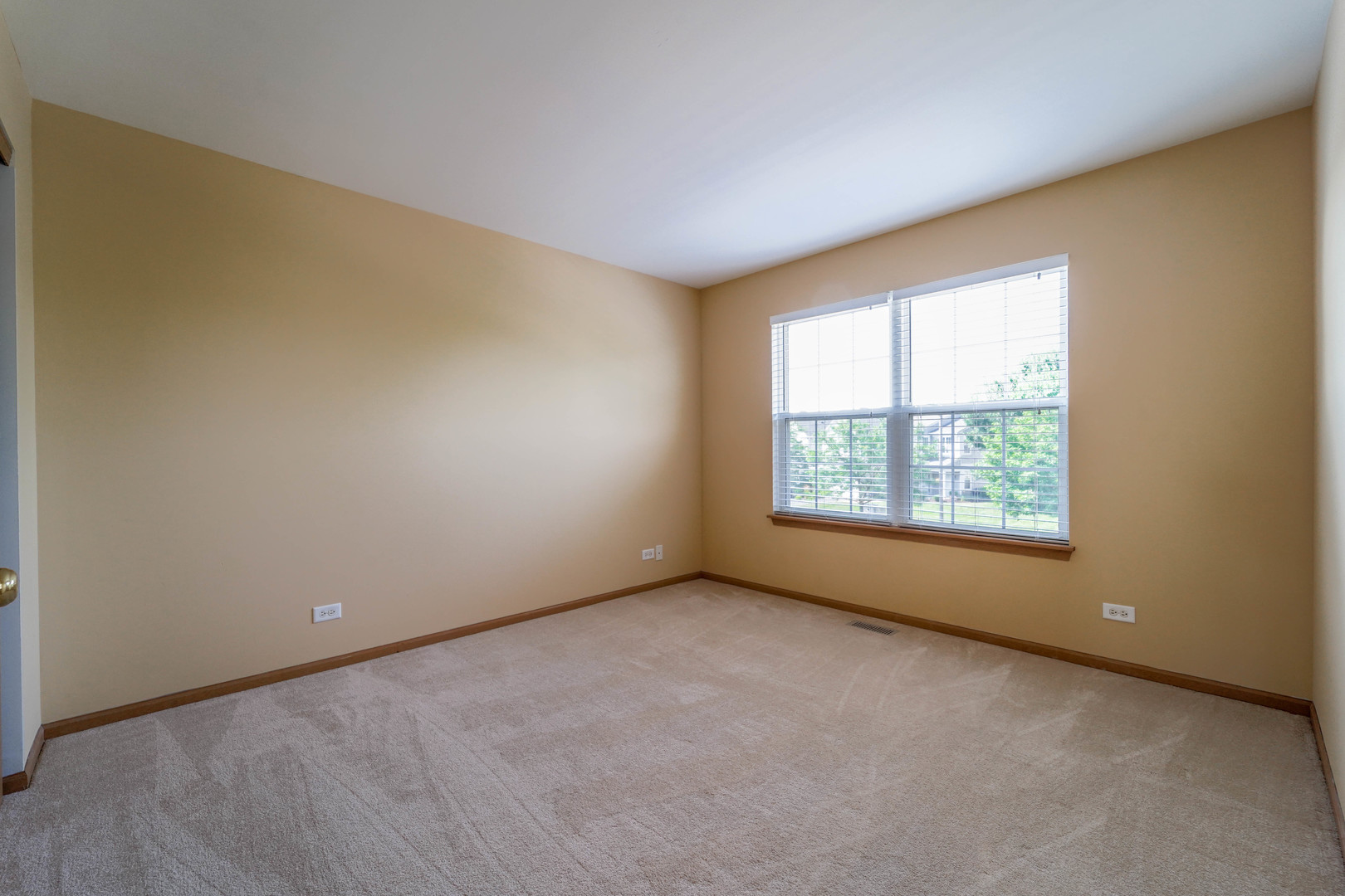 934 Genesee Drive Naperville, IL 60563 - Photo 17 of 30