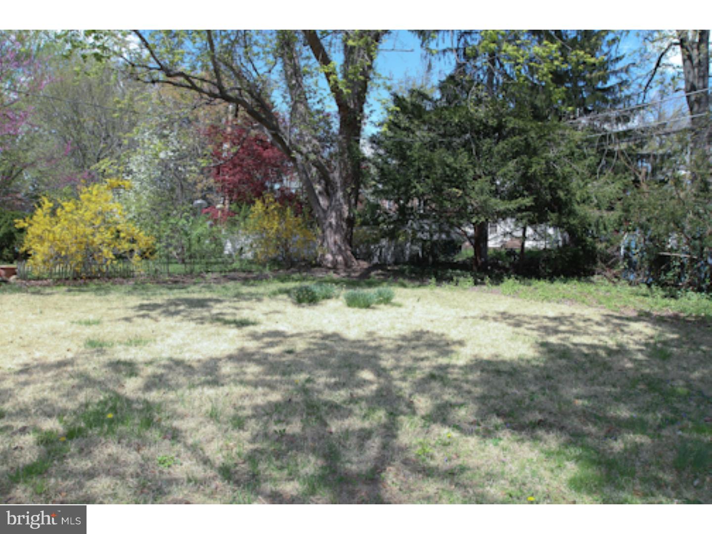 2009 East County Line Road Ardmore, PA 19003 - Photo 23 of 25 Back Yard