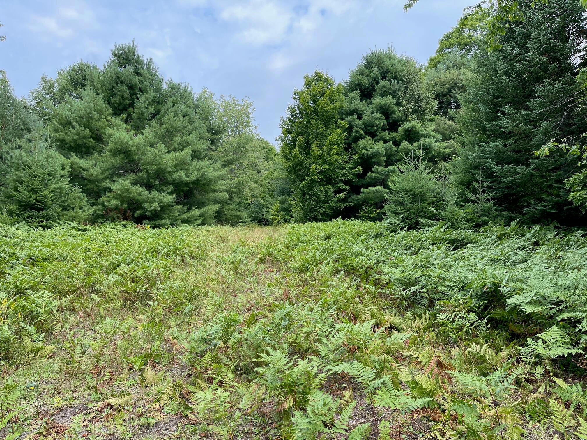 0 North Powerline Road Germfask, MI 49836 - Photo 15 of 17 Gallery Image 15