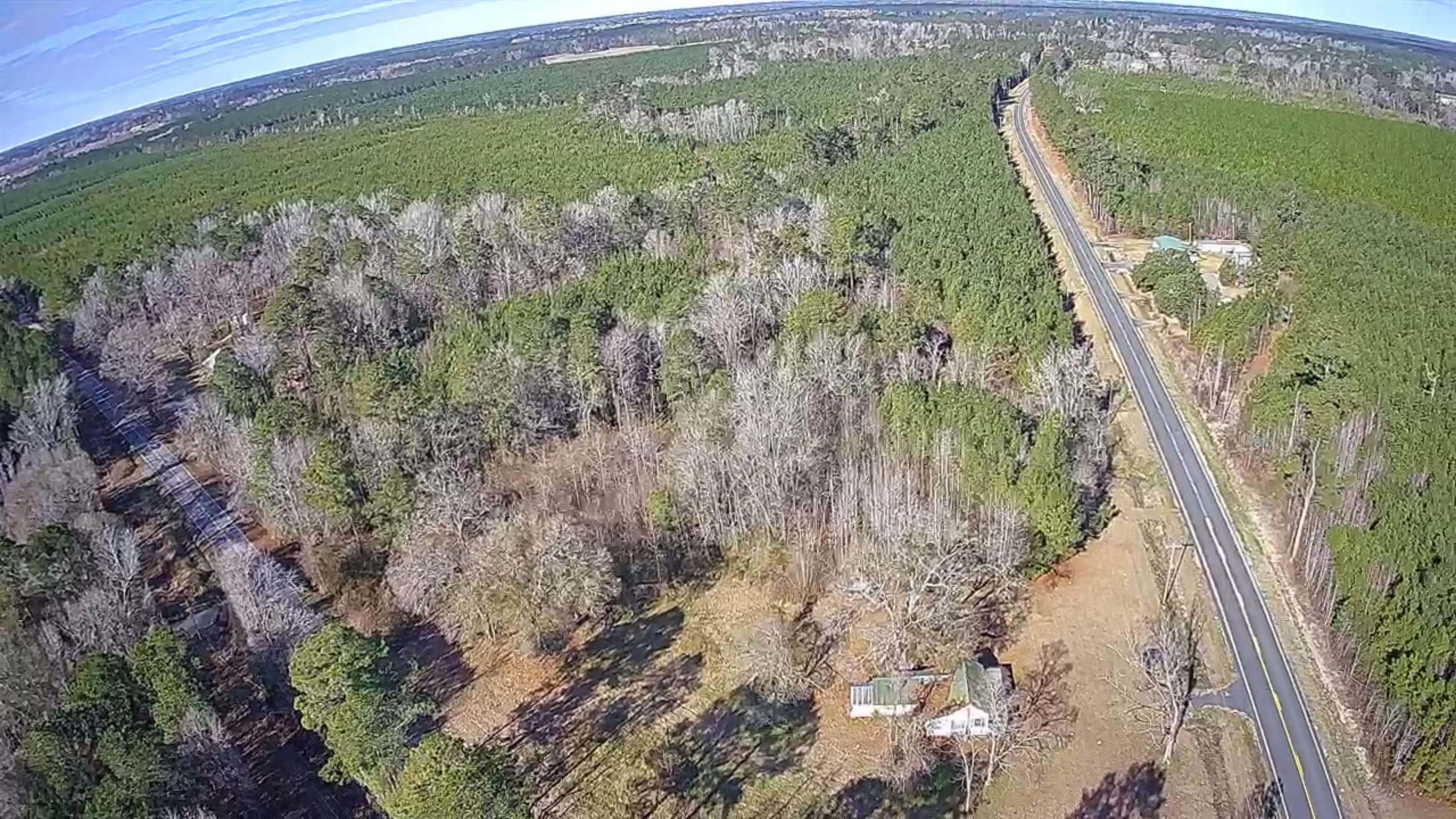 18671 Choppee Road Hemingway, SC 29554 - Photo 3 of 6 Aerial overview of property's location