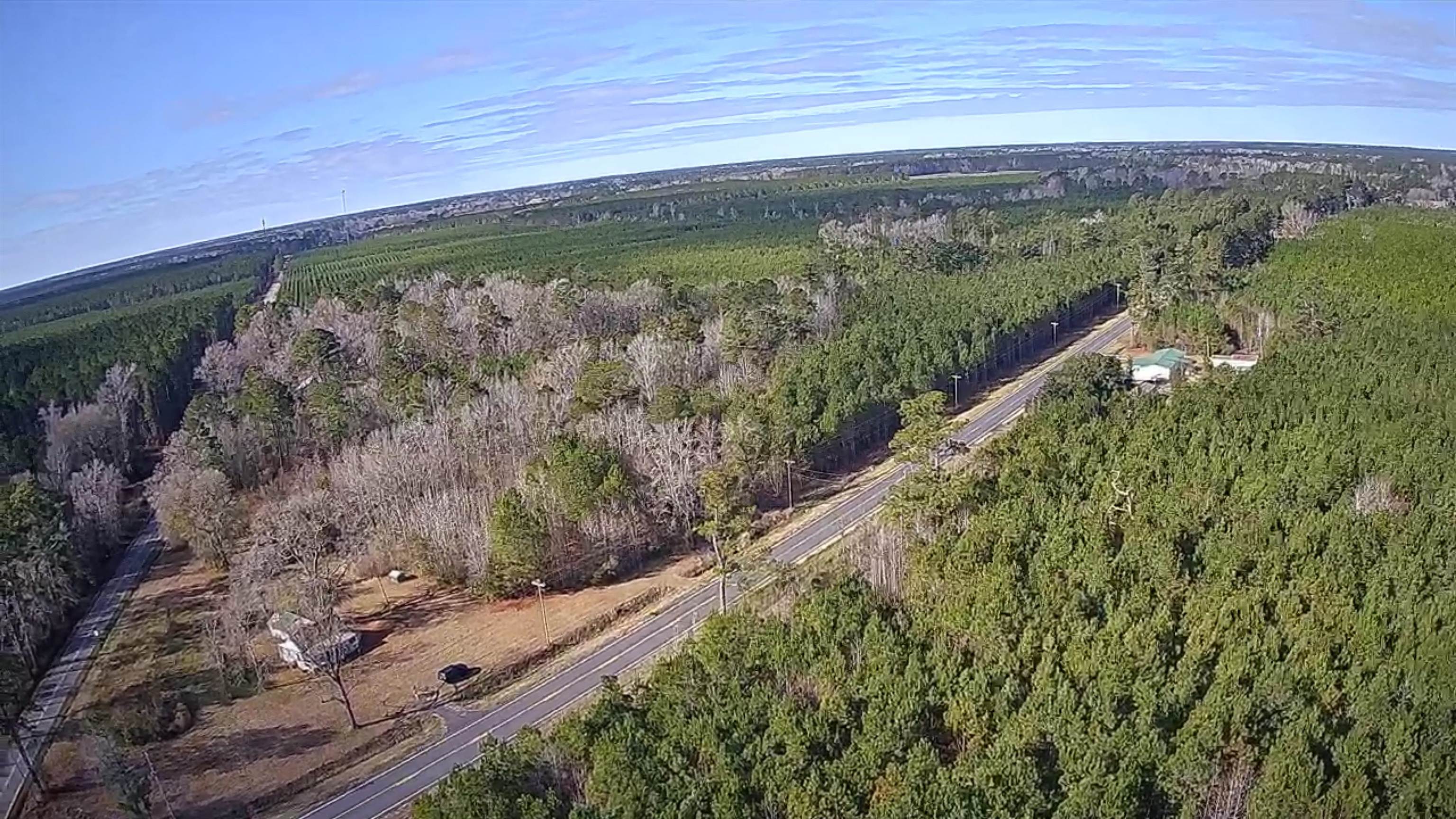 18671 Choppee Road Hemingway, SC 29554 - Photo 4 of 6 Aerial view of property's location featuring a heavily wooded area