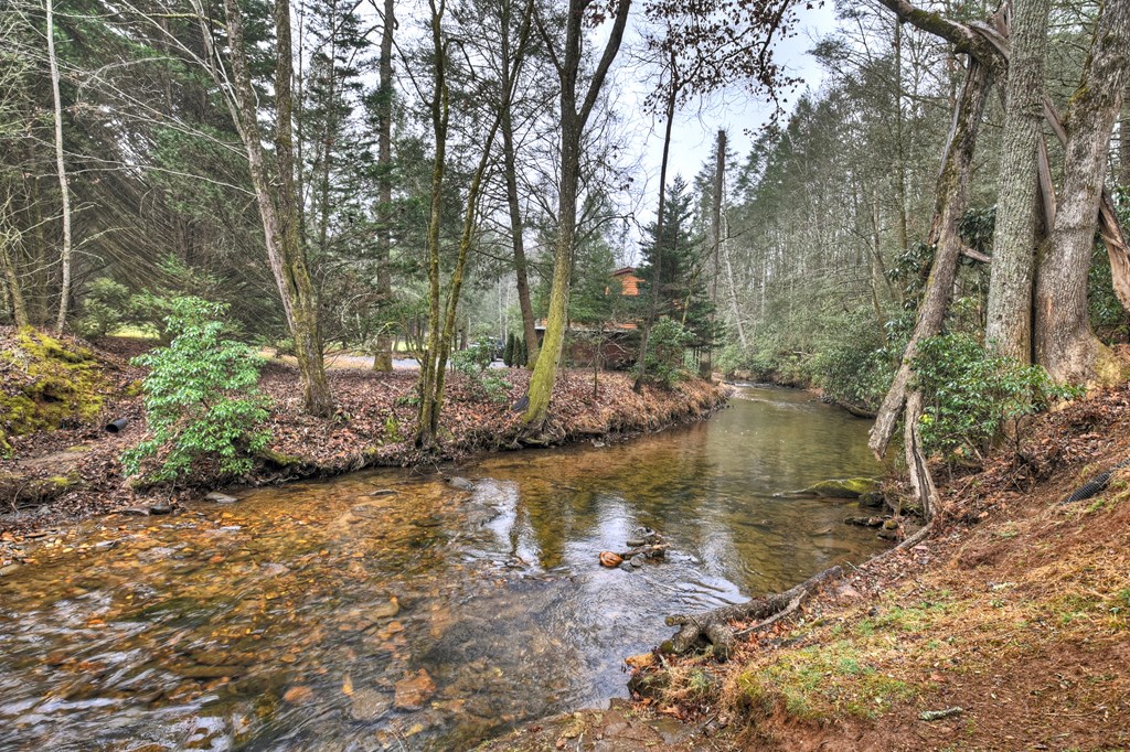 111 Laurel Crossing Blue Ridge, GA 30513 - Photo 2 of 50