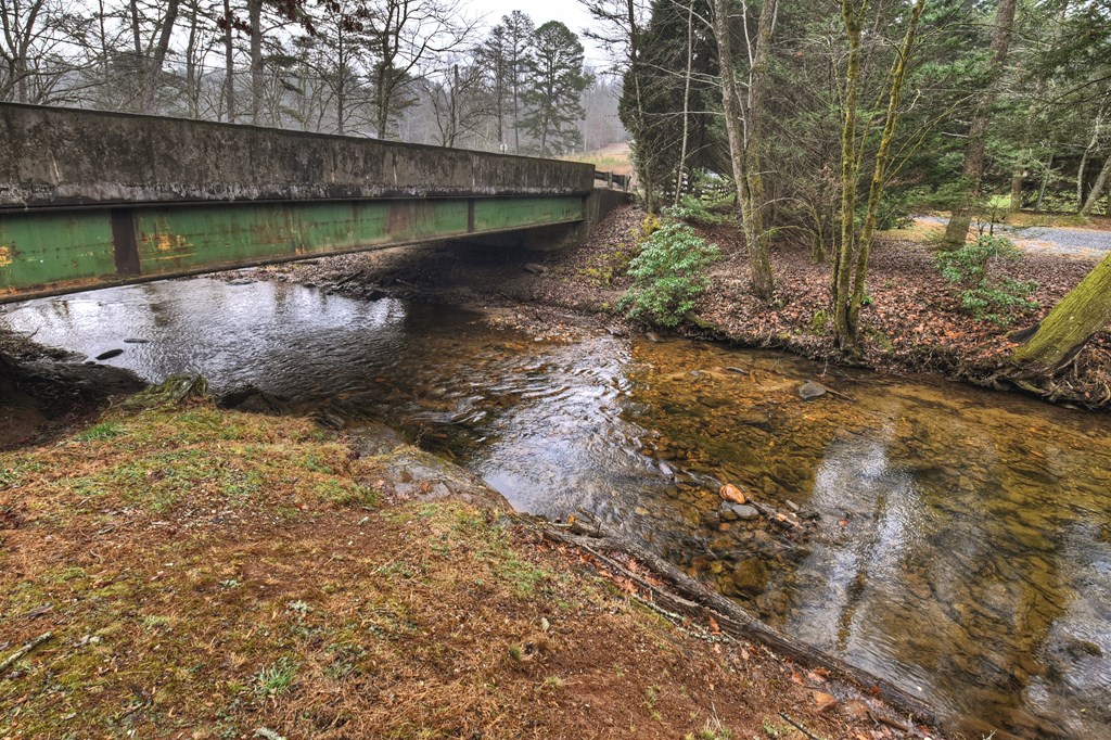 111 Laurel Crossing Blue Ridge, GA 30513 - Photo 49 of 50