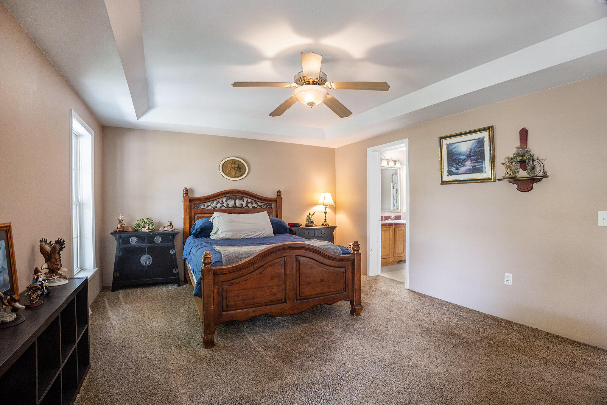 655 Johnson Road Ionia, MI 48846 - Photo 25 of 59 029_690a0285
