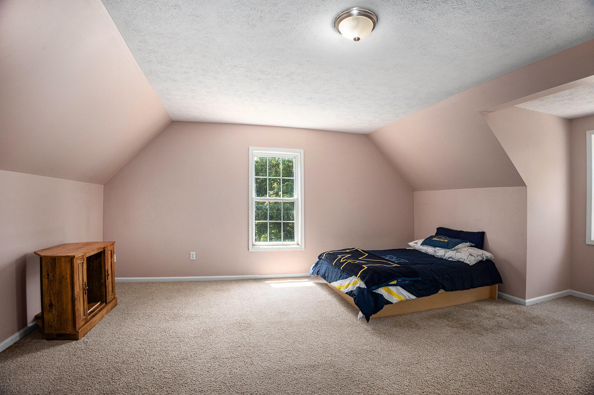 655 Johnson Road Ionia, MI 48846 - Photo 30 of 59 037_690a0290