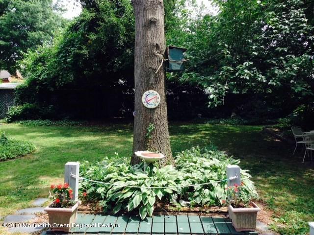 3 Coates Road Allentown, NJ 08501 - Photo 13 of 17 yard5