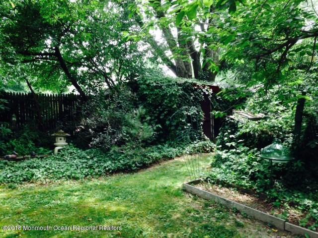 3 Coates Road Allentown, NJ 08501 - Photo 17 of 17 yard3