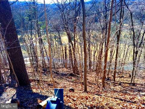 9 Sidetrack Trail Fairfield, PA 17320 - Photo 4 of 11