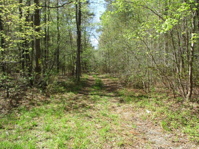 113 Martin Road, Unit 113 Danville, VA 24541 - Photo 5 of 10