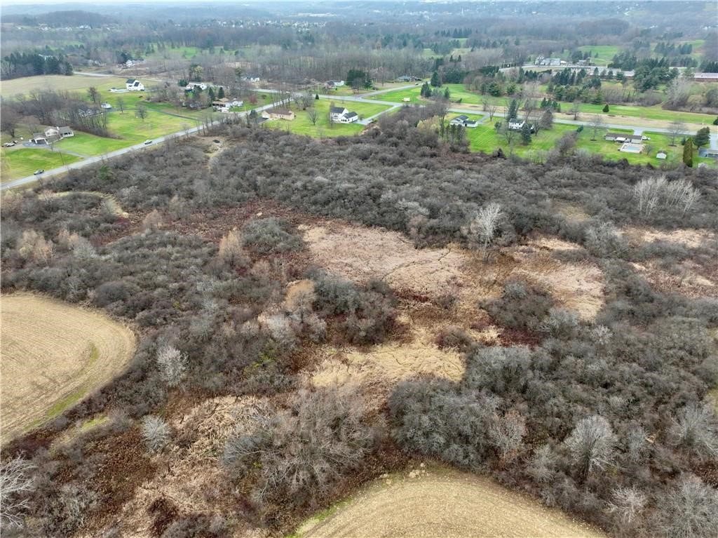 0 Brace Road Victor, NY 14564 - Photo 7 of 8