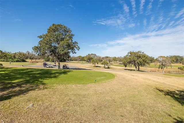 a view of a tennis ground with large trees