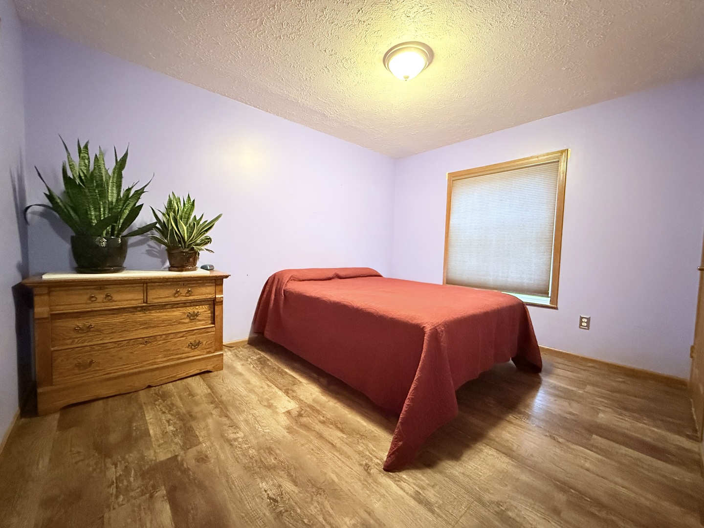 147 Hazel Road Simpson, IL 62985 - Photo 18 of 56 a bedroom with a bed and a potted plant