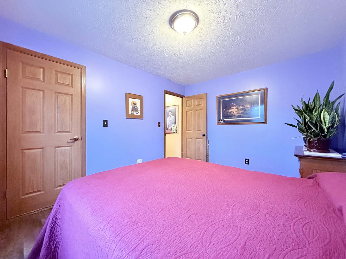 147 Hazel Road Simpson, IL 62985 - Photo 19 of 56 a bedroom with a large bed and a chandelier