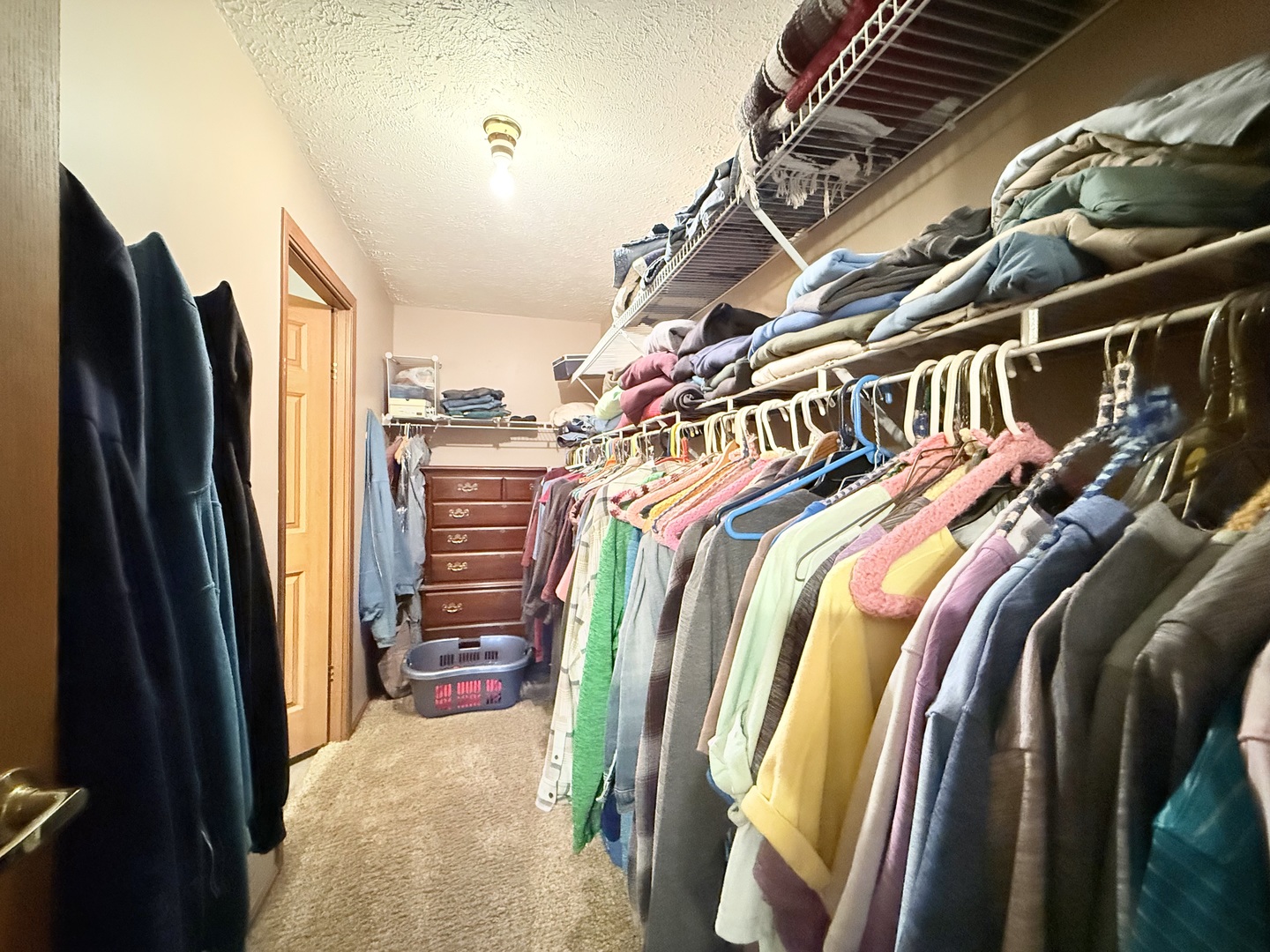 147 Hazel Road Simpson, IL 62985 - Photo 24 of 56 a view of walk in closet with clothes and shoes