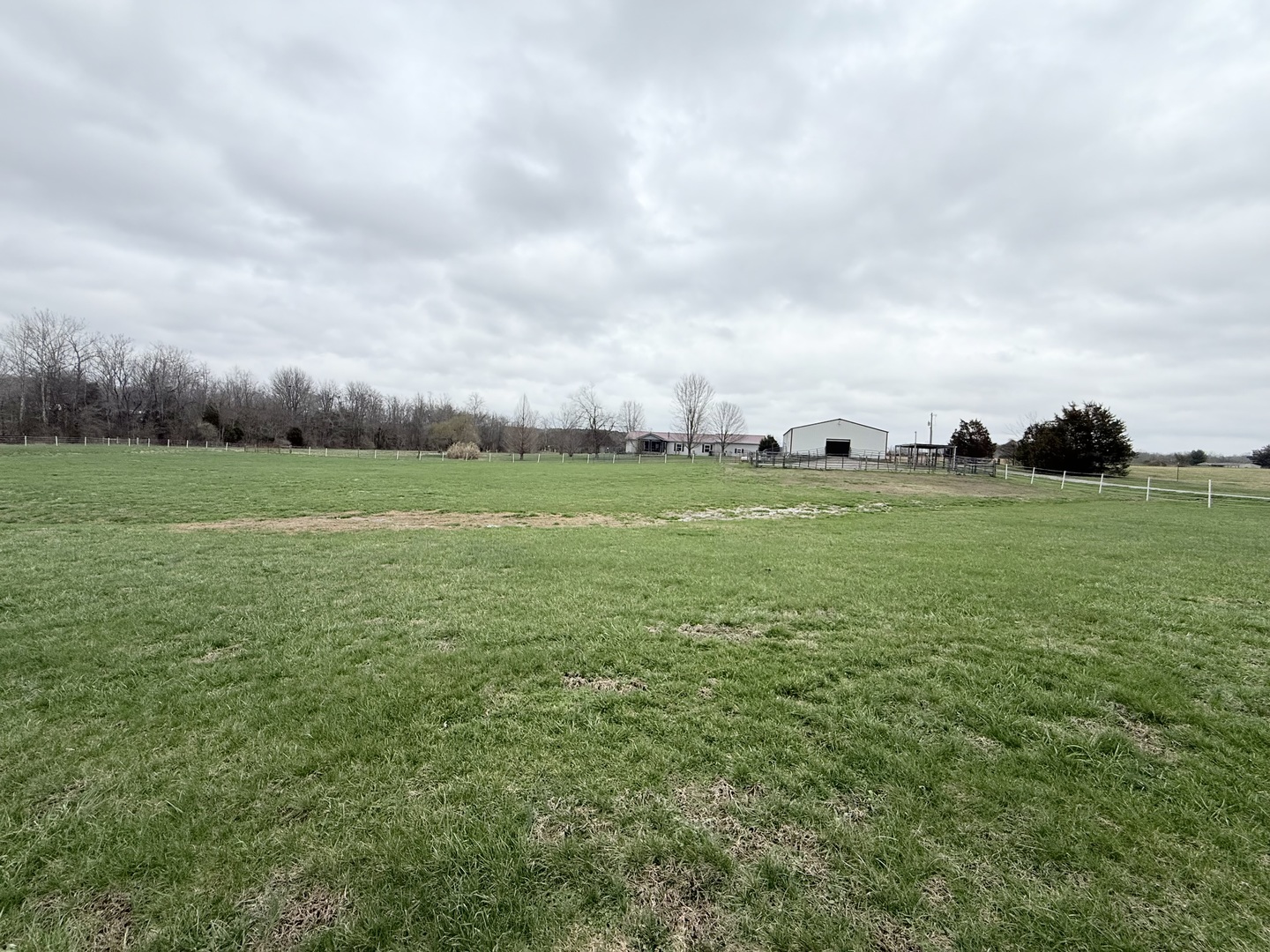 147 Hazel Road Simpson, IL 62985 - Photo 41 of 56 an aerial view of field with trees in the background
