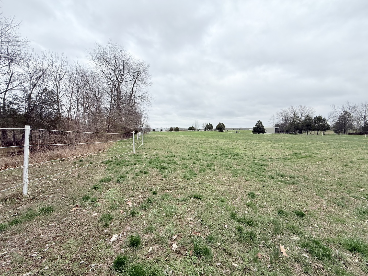 147 Hazel Road Simpson, IL 62985 - Photo 48 of 56 a backyard of a house with lots of green space