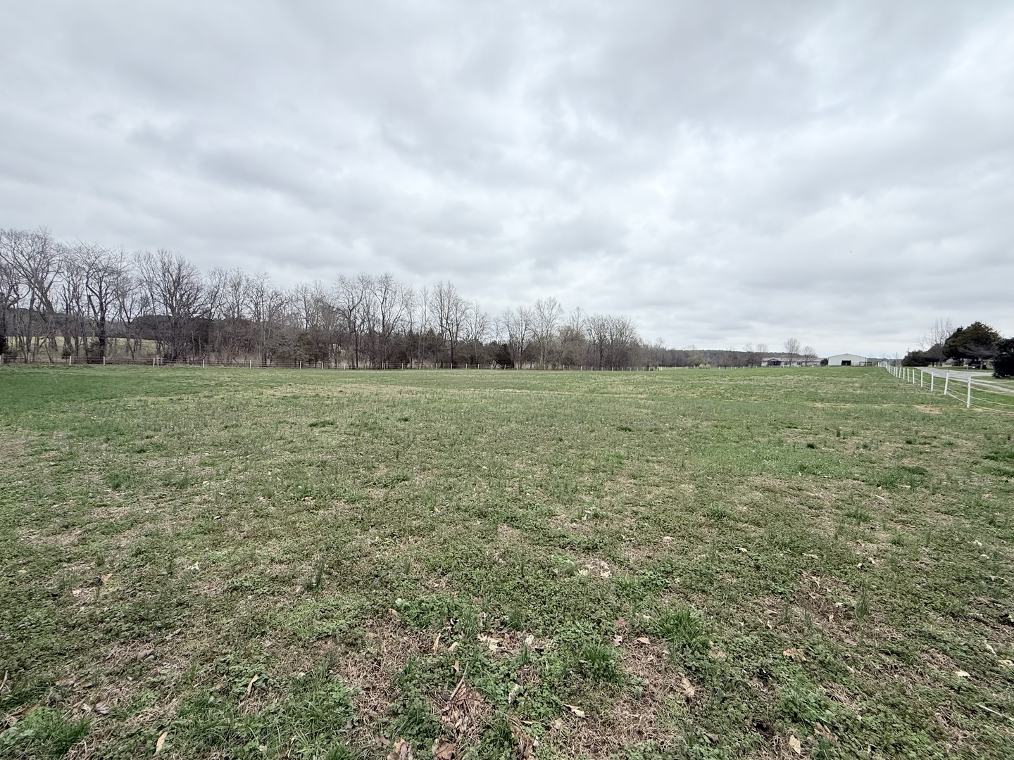 147 Hazel Road Simpson, IL 62985 - Photo 49 of 56 a view of a field with an trees in back