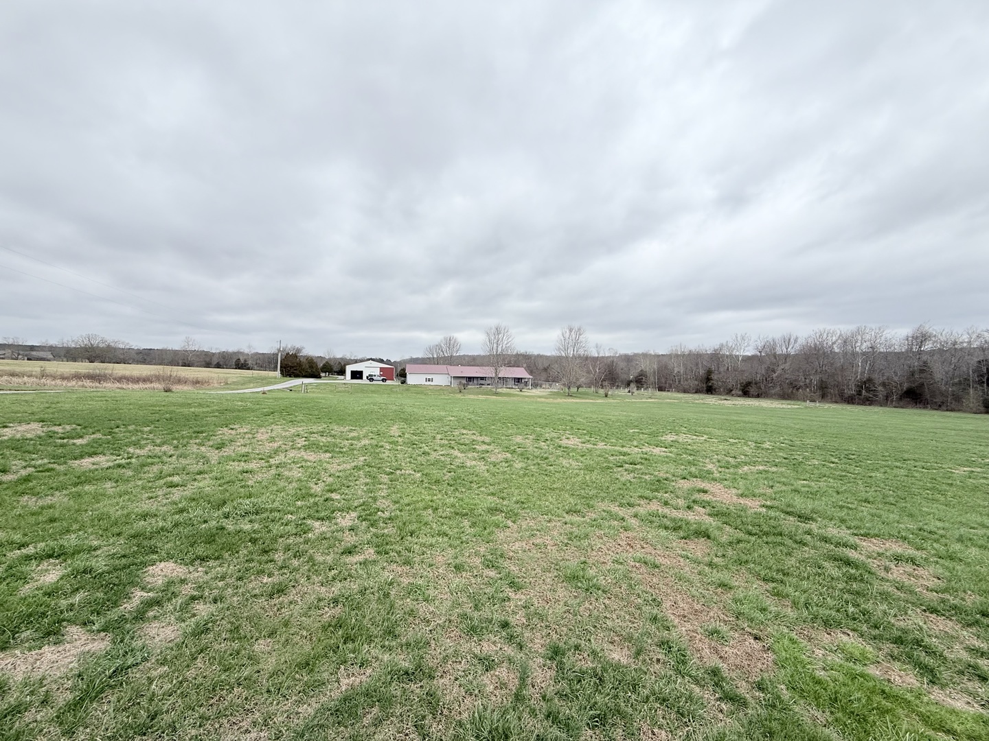 147 Hazel Road Simpson, IL 62985 - Photo 50 of 56 a view of a green field with lots of bushes