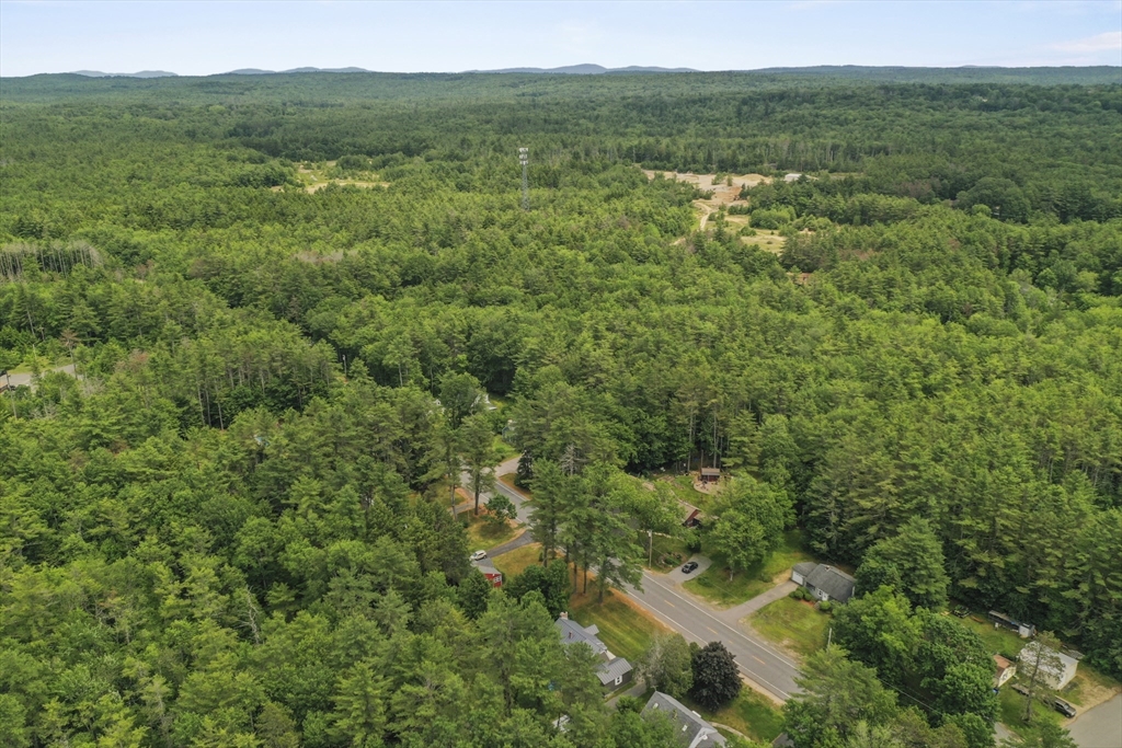 49 Winchendon Road Baldwinville, MA 01436 - Photo 31 of 33 a view of a forest with a street