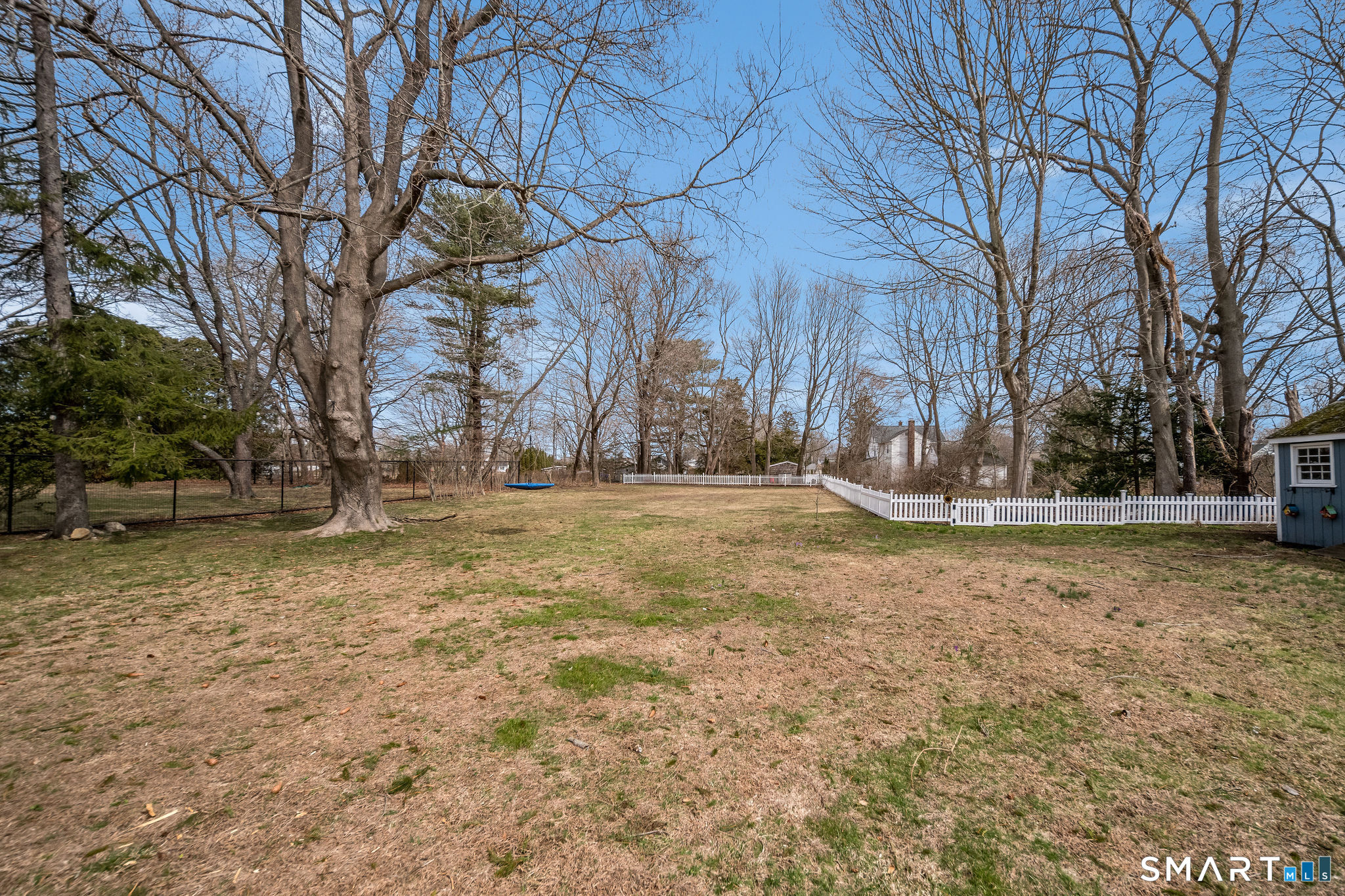 24 Cottage Place Old Saybrook, CT 06475 - Photo 28 of 38 a view of yard with tree