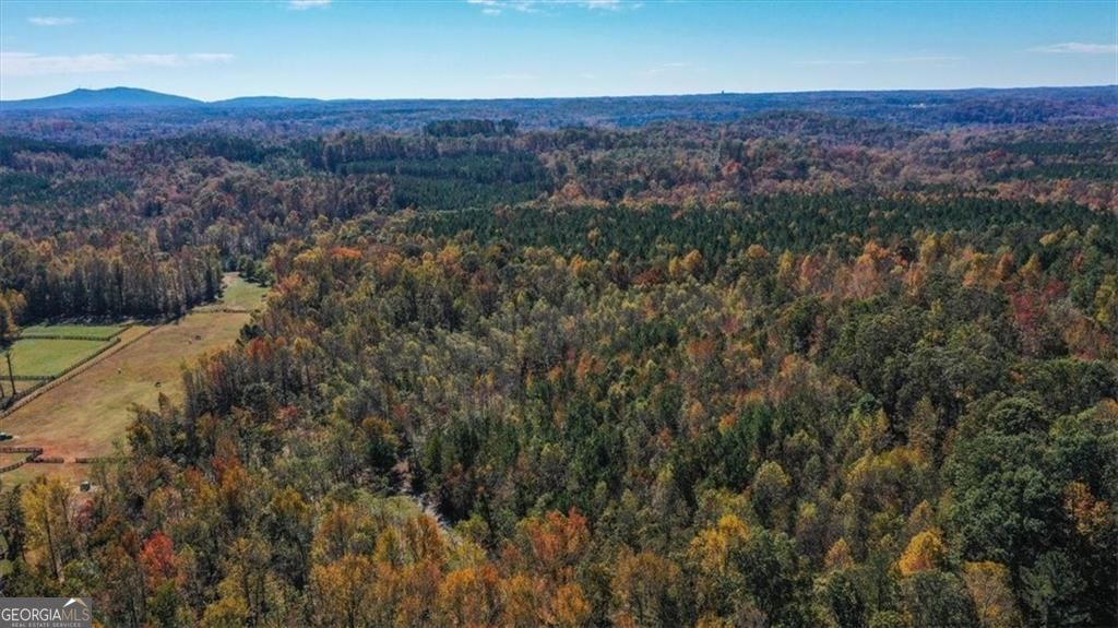 8205 Nicholson Road, Unit LOT 1 Cumming, GA 30028 - Photo 4 of 10 an aerial view of residential house and green space
