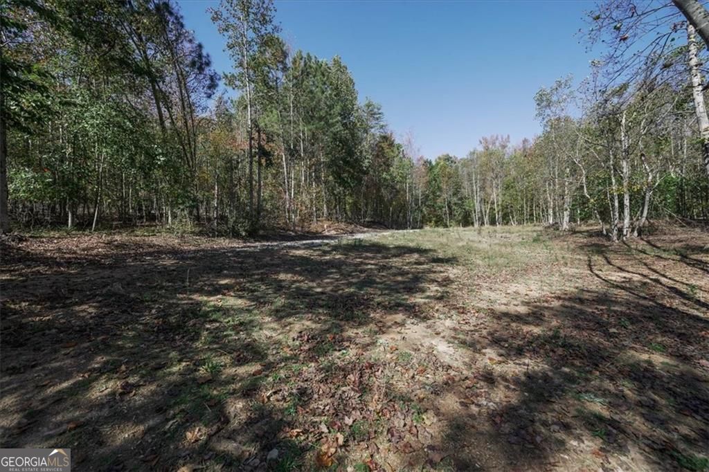 8205 Nicholson Road, Unit LOT 1 Cumming, GA 30028 - Photo 6 of 10 a big yard with lots of green space