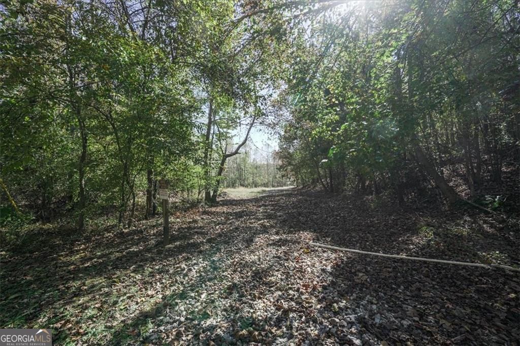 8205 Nicholson Road, Unit LOT 1 Cumming, GA 30028 - Photo 8 of 10 a view of a forest with trees in the background