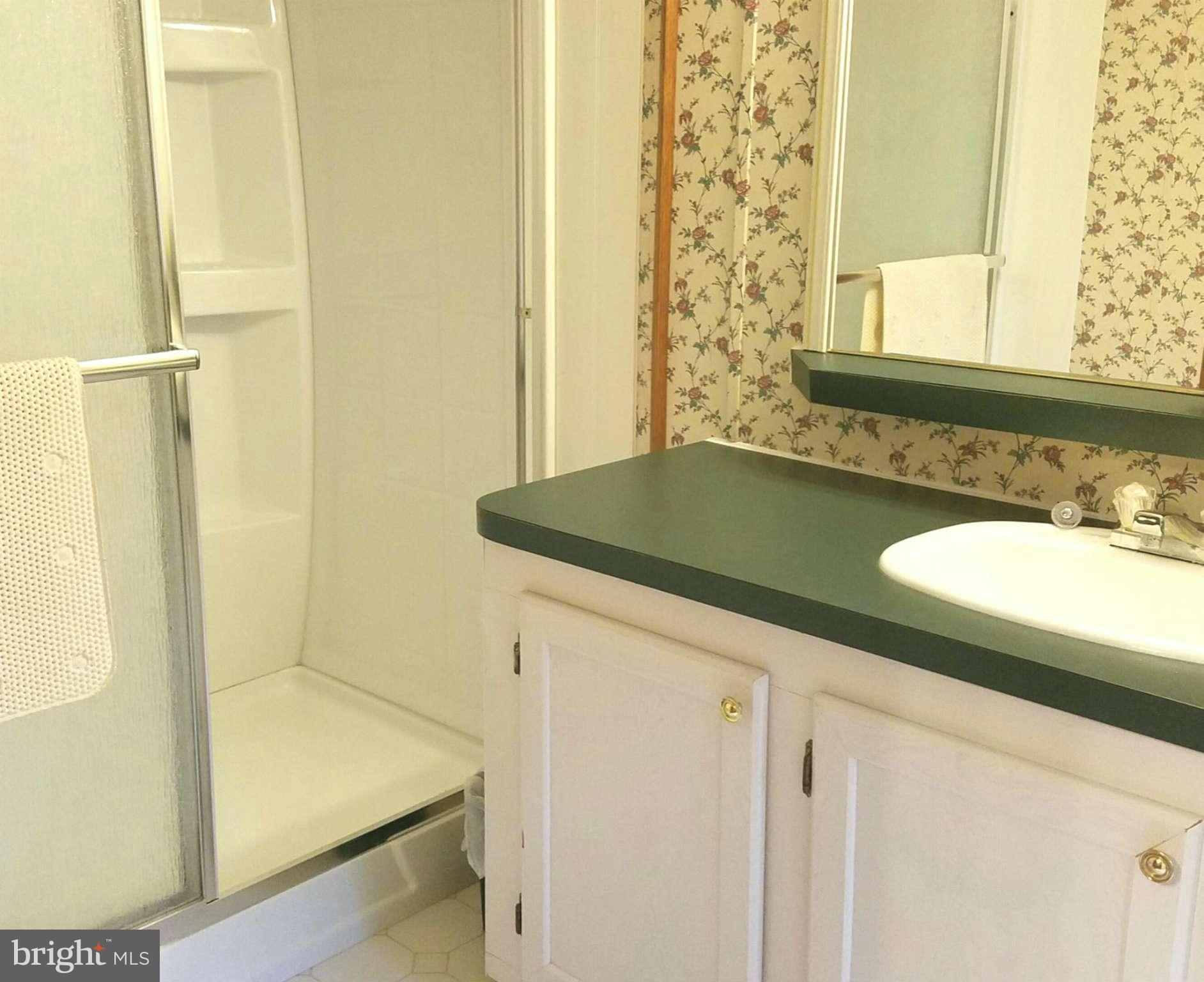 4630 Old Licksville Road Tuscarora, MD 21790 - Photo 8 of 9 a bathroom with a granite countertop sink and a mirror