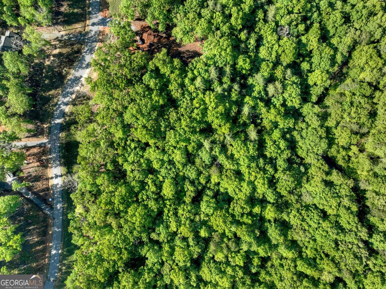 Lot 41 Ridge Drive Morganton, GA 30560 - Photo 17 of 34
