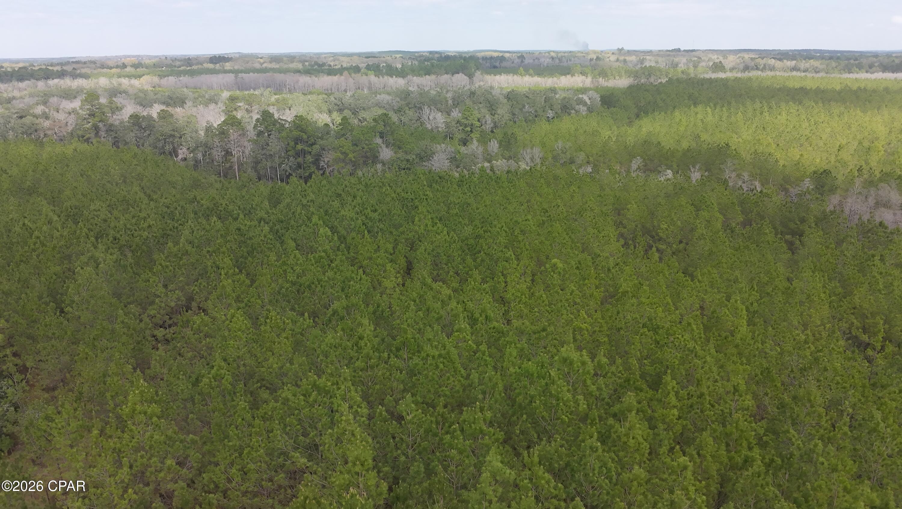 6418 South Mattox Springs Road, Unit 1 Caryville, FL 32427 - Photo 4 of 8