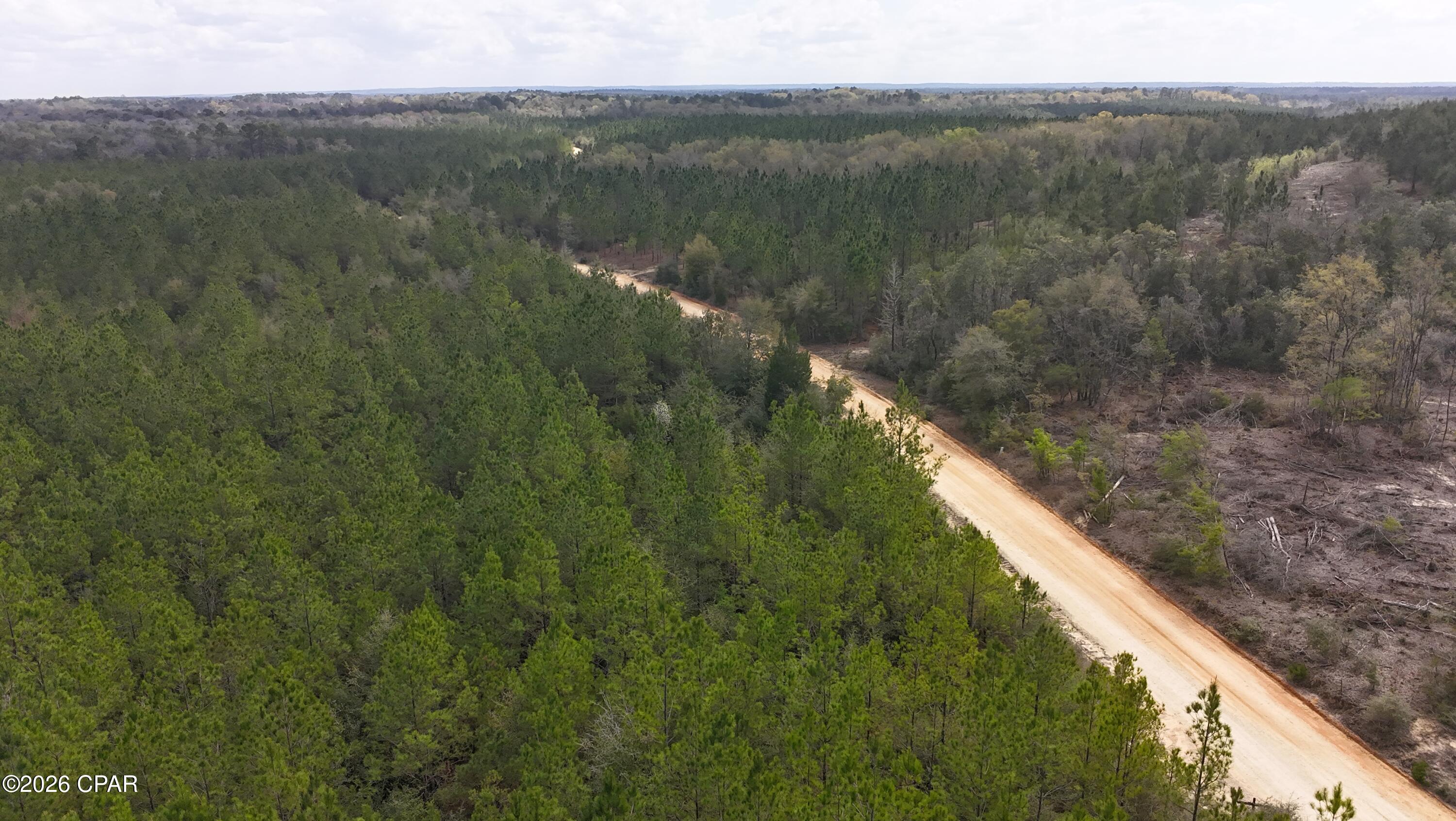 6418 South Mattox Springs Road, Unit 1 Caryville, FL 32427 - Photo 5 of 8