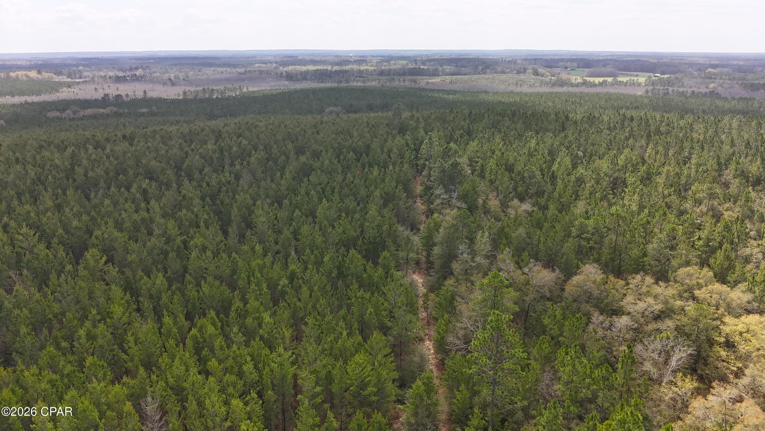 6418 South Mattox Springs Road, Unit 1 Caryville, FL 32427 - Photo 7 of 8