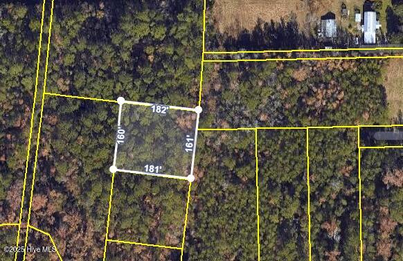 2461 Rockhill Road Castle Hayne, NC 28429 - Photo 11 of 13 1