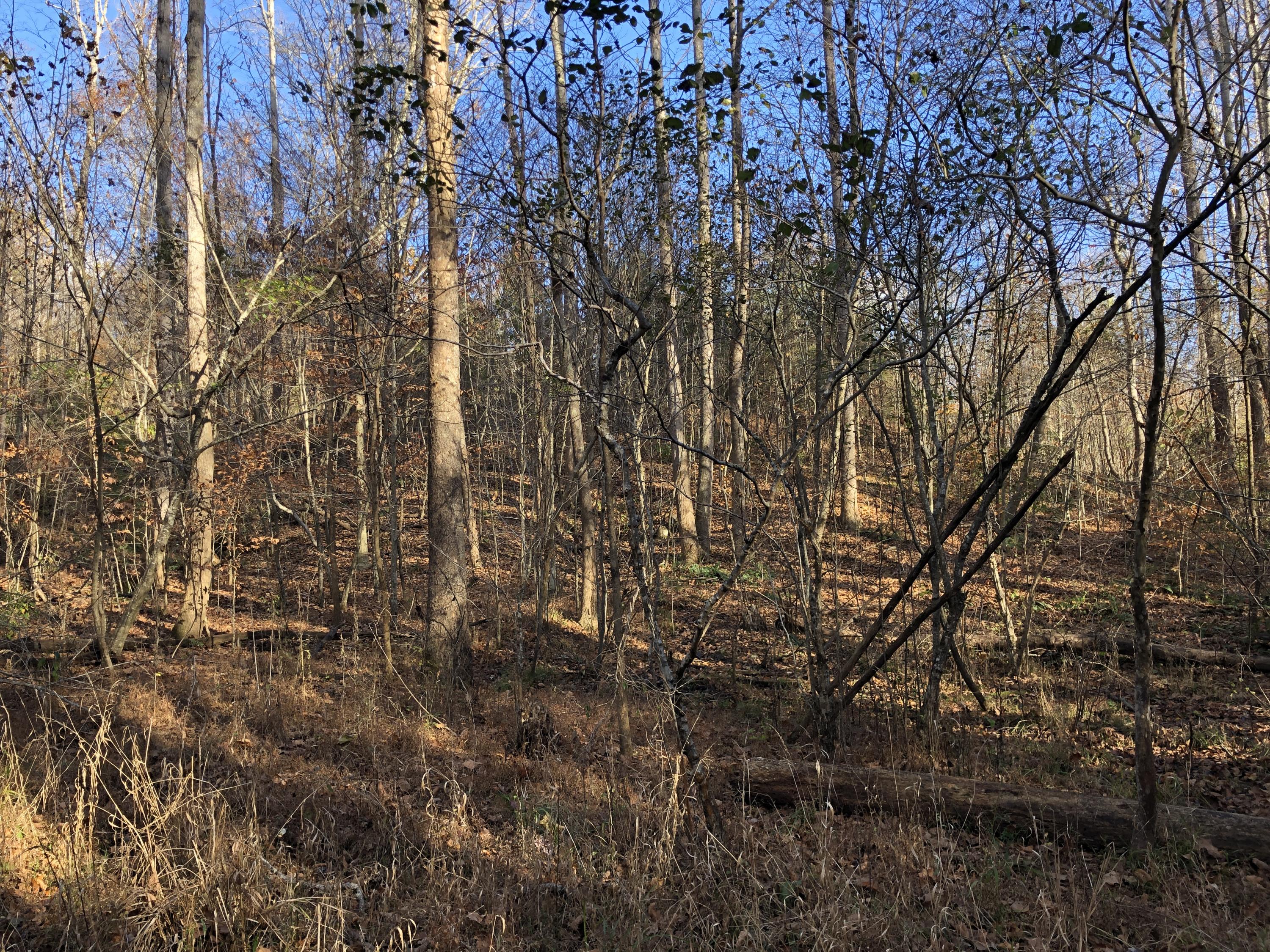 46-47 Waterside Drive Goodview, VA 24095 - Photo 11 of 19 a view of a yard