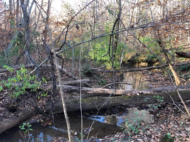 a view of a road with a building in the background