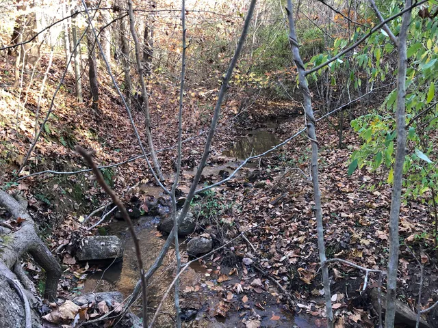a view of outdoor space with city view