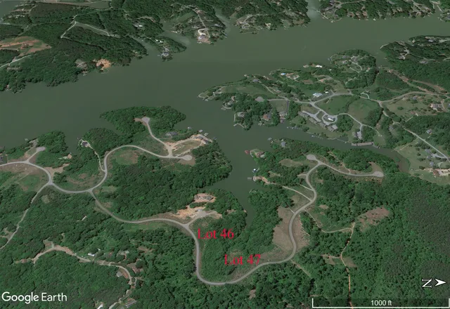 a view of a yard next to a large tree