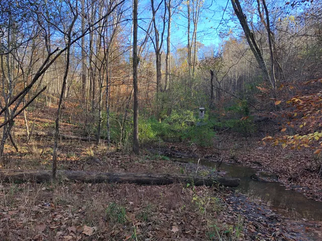 a garden view with a bench