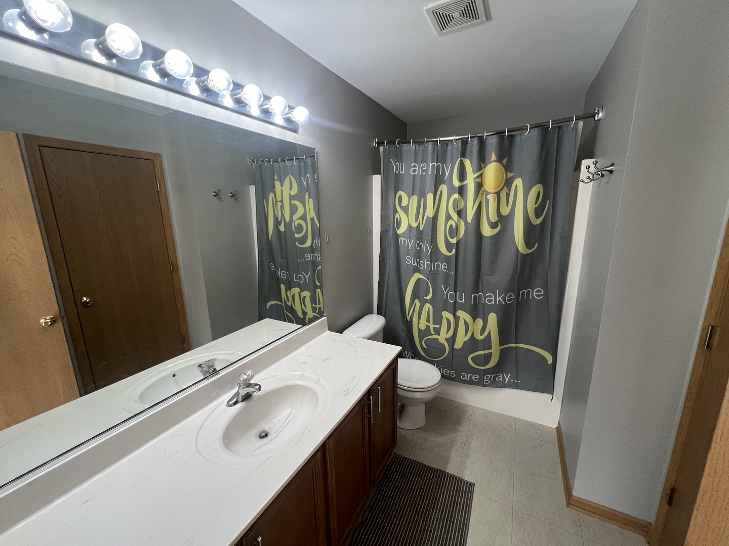 507 Prairie View Drive Minooka, IL 60447 - Photo 13 of 18 a bathroom with a sink a toilet and shower