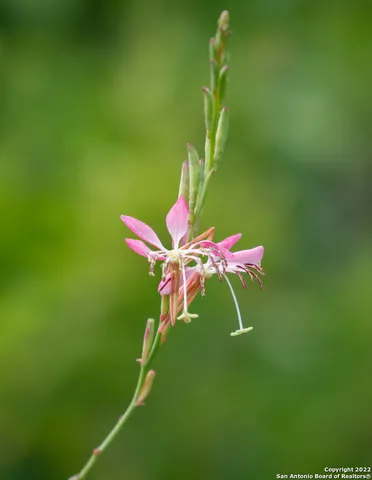 $197,000 | 440 Red Wright Road, Rio Frio, TX 78879