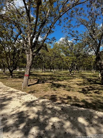 $197,000 | 440 Red Wright Road, Rio Frio, TX 78879