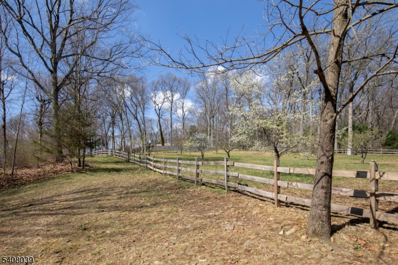235 Mountainside Road Mendham, NJ 07945 - Photo 44 of 47 a view of backyard space with trees